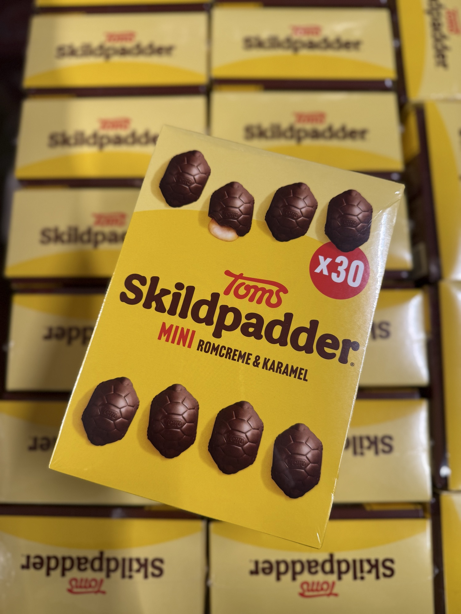 Skildpadder🐢